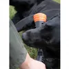 Chien Comets Meteor Wurfstock - Orange / L Voir les images du produit 7