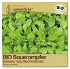 Samenliebe  Sauerampfer Samen | Wildkraut - winterhart & Produktbild-Vorschau 1