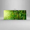 Bilder auf glas - Bambus Pflanze - 120x50cm - Glasbilder - Produktbild-Vorschau 3