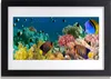 Bild 30x20 MDF-Rahmen Wandkunst Barrier Reef Nature Produktbild-Vorschau 1