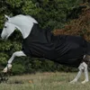 A white horse wearing a black turnout blanket with gold trim is galloping through a grassy field with trees in the background. Produktbild-Vorschau
