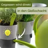 4er Set Kräutertopf Selbstbewässernd Kräutertopf Küche Produktbild-Vorschau 8