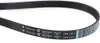 A black serpentine belt with white text and a barcode printed on it, isolated on a white background. Voir les images du produit