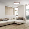 Plafoniera LED Solight WO8005 Iron Oak 48 W 3360 lm Anteprima dell’immagine prodotto 5