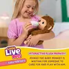 Little Live Pets - La mia scimmietta Mango Anteprima dell’immagine prodotto 20