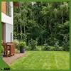 Clôture forestière - Clôture pour gibier - 150/16/10 Vert, Voir les images du produit 9