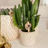 Kolibri Home | Diamond Pearl Dekotopf - Travertine - Ø6cm Produktbild-Vorschau 2