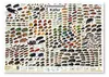 Einheimische Käfer Poster deutsch DIN A1 84,1 x 59,4 cm Produktbild-Vorschau 1