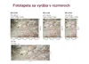 Fototapete - Grunge Wall 375x250cm - Vliestapete Produktbild-Vorschau 10