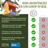 Eli® Kit de construction de mangeoire pour enfants en bois Voir les images du produit 5