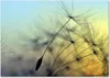 Tulup® Leinwandbild - 100x70 cm - Wandkunst - Drucke auf Produktbild-Vorschau 1