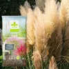 Gras-Substrat 20 l - Hochwertig - Nährstoffreich - Für Produktbild-Vorschau 4