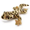 Leopardgecko Kuscheltier Gecko Echse 27 cm Plüschtier YUMA Produktbild-Vorschau 1