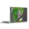 MuchoWow® Laptop Aufkleber Sticker Cover Eule auf Ast Produktbild-Vorschau 1