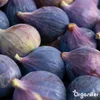Fig Tekuté hnojivo 2x1 L – 2-1-8 (NPK) – Pre figy a ovocné Náhľad obrázku produktu 6