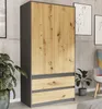 A wardrobe with wooden doors and drawers in a room with concrete walls and plants. Náhled obrázku produktu