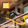 KADAX Black Raven « Krokom », plastique, répulsif pour Voir les images du produit 13
