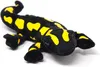 A plush toy salamander with black and yellow spots on a white background. Voir les images du produit