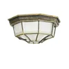 A close-up, studio shot of an outdoor ceiling light fixture. Produktbild-Vorschau