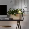 A desk with a computer monitor, a plant in a wooden planter, and a black clip-on LED lamp. Anteprima dell’immagine prodotto