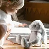 WHISBEAR Coniglio Ronzante Felek 45029 Anteprima dell’immagine prodotto 5