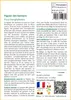 SAFLAX  - Figuier des banians - 20 graines - Ficus Voir les images du produit 3