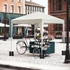 WOLTU Pavillon faltbar 2x2m mit 4 Seitenteilen und 4 Produktbild-Vorschau 2