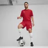 Puma Teamfinal Trikot Kurzarm Herren - Rot  | Größe: L Produktbild-Vorschau 6
