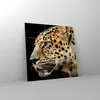 Bilder auf glas - Tiere Leopard wilde Katze wilde Tiere - Produktbild-Vorschau 4