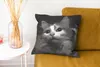 MuchoWow® Zierkissen Sofakissen Wohnzimmer Dekokissen 40x40 Produktbild-Vorschau 6