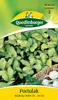 Quedlinburger Saatgut - Portulak - Samen - 496022 Produktbild-Vorschau 5