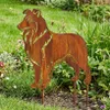 Edelrost Collie - Rost Deko Hund Rostfigur Gartendeko für Produktbild-Vorschau 2