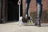 A person wearing tall black boots is using a boot scraper with a handle and hand rest. Anteprima dell’immagine prodotto