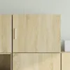 vidaXL Wandschrank Sonoma-Eiche 50x42,5x40 cm Holzwerkstoff Produktbild-Vorschau 1