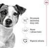 Royal Canin Hundetrockenfutter Adult Mini 2 kg Geflügel Produktbild-Vorschau 7