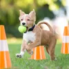 Relaxdays Pylonen 12er Set, Fußball, Hundetraining, Produktbild-Vorschau 5