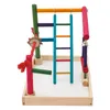 A colorful bird playground with various perches, ladders, and a swing, set within a wooden base. Náhled obrázku produktu