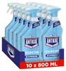 Antikal Kalkreiniger Bad, 10x800 ml Produktbild-Vorschau 1