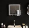 specchio da bagno vidaXL LED 40x40 cm Anteprima dell’immagine prodotto 2