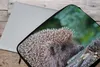 MuchoWow® Laptop Hülle 15 Zoll Igel auf Baum Laptoptasche - Produktbild-Vorschau 4