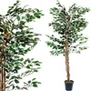 PLANTASIA Sztuczne drzewo figowe, 160 cm Podgląd zdjęcia produktu 7