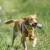 Fodera dummy ø 6 × 18 cm diversi Anteprima dell’immagine prodotto 6