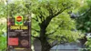 Bonsai Erde Ficus - 5l - Hochwertig - Nährstoffreich - Produktbild-Vorschau 7