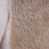 Riesen-Teddybär XXL 136 cm Plush Friends Kuscheltier Produktbild-Vorschau 6