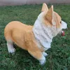 Prodex Welsh Corgi hond, 30 x 26 cm, Polyston, modelnummer Productafbeelding-voorbeeld 3