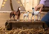 Schleich Horse Club Marwari Hengst 14898 Produktbild-Vorschau 4