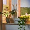 Relaxdays skleněné zavlažovací kuličky, sada 4 ks, V x h: Náhled obrázku produktu 2