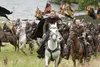 Robin Hood Podgląd zdjęcia produktu 10