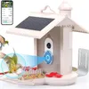WIFI Smart Bird Feeder Camera 1080P Auto Capture Bird Video Náhled obrázku produktu 12