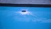Star Trading 481-80 LED-Solar-Schwimmlicht "Pool Produktbild-Vorschau 8